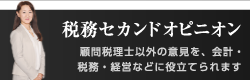 税務セカンドオピニオン